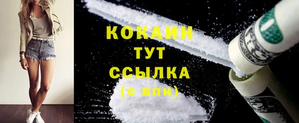 соль ск Козловка