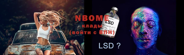соль ск Козловка