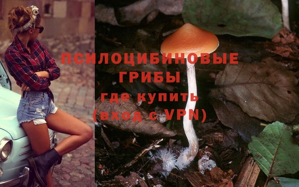 мдпв Михайлов