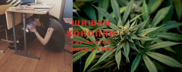 соль ск Козловка