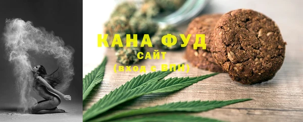 мдпв Михайлов