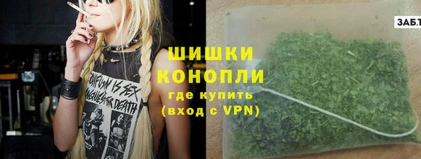 мдпв Михайлов
